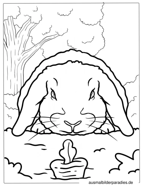 Hase Ausmalbild 23 - kostenlos zum Ausdrucken