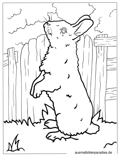 Hase Ausmalbild 33 - kostenlos zum Ausdrucken