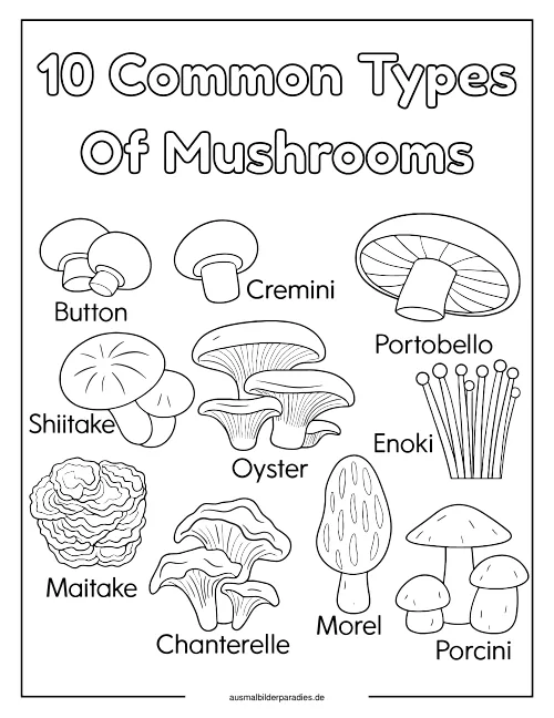 Pilz Ausmalbild 26 - kostenlos zum Ausdrucken