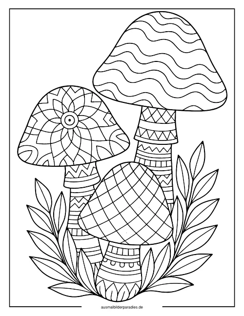 Pilz Ausmalbild 31 - kostenlos zum Ausdrucken