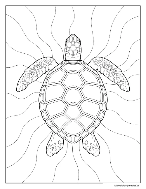 Schildkröte Ausmalbild 15 als Gratis-PDF Schildkröte Ausmalbild 15 - kostenlos zum Ausdrucken