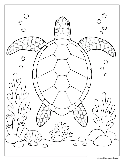 Schildkröte Ausmalbild 16 als Gratis-PDF Schildkröte Ausmalbild 16 - kostenlos zum Ausdrucken