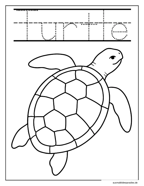 Schildkröte Ausmalbild 17 als Gratis-PDF Schildkröte Ausmalbild 17 - kostenlos zum Ausdrucken