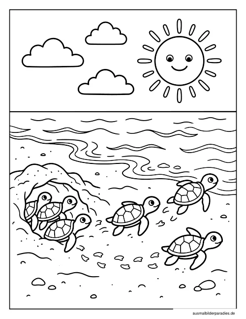 Schildkröte Ausmalbild 2 als Gratis-PDF Schildkröte Ausmalbild 2 - kostenlos zum Ausdrucken