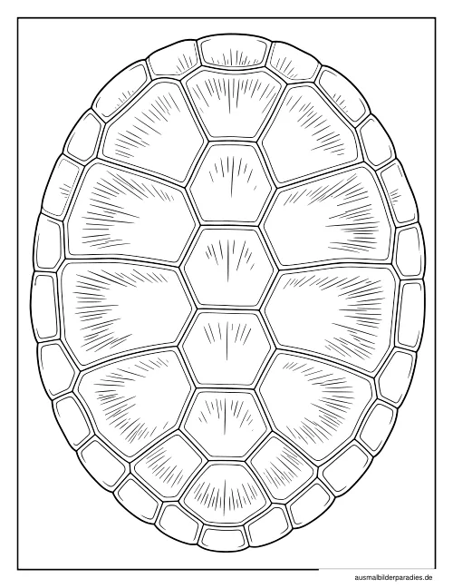 Schildkröte Ausmalbild 27 als Gratis-PDF Schildkröte Ausmalbild 27 - kostenlos zum Ausdrucken
