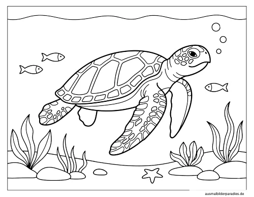 Schildkröte Ausmalbild 32 als Gratis-PDF Schildkröte Ausmalbild 32 - kostenlos zum Ausdrucken