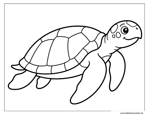 Schildkröte Ausmalbild 8 als Gratis-PDF Schildkröte Ausmalbild 8 - kostenlos zum Ausdrucken