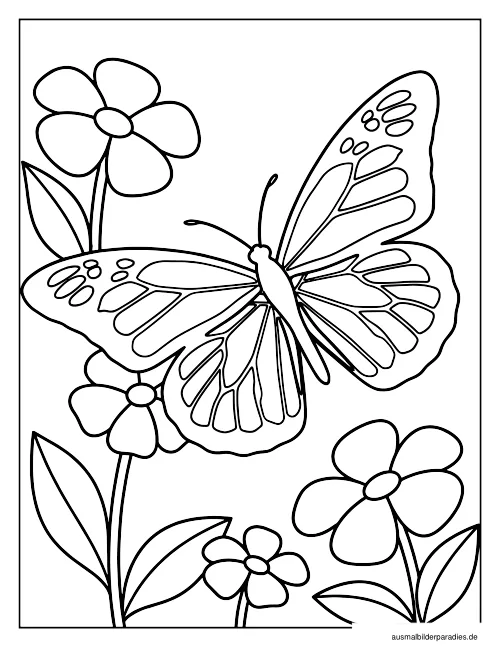 Schmetterling Ausmalbild 21 als Gratis-PDF Schmetterling Ausmalbild 21 - kostenlos zum Ausdrucken