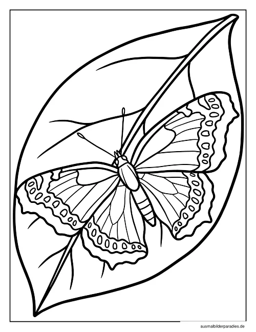 Schmetterling Ausmalbild 22 als Gratis-PDF Schmetterling Ausmalbild 22 - kostenlos zum Ausdrucken