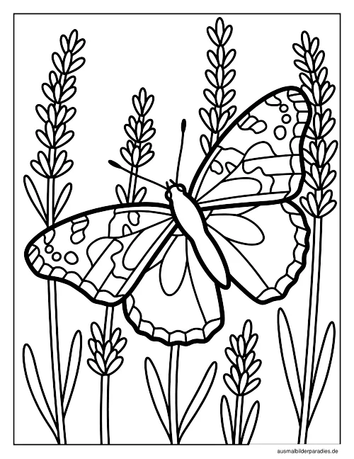 Schmetterling Ausmalbild 23 als Gratis-PDF Schmetterling Ausmalbild 23 - kostenlos zum Ausdrucken