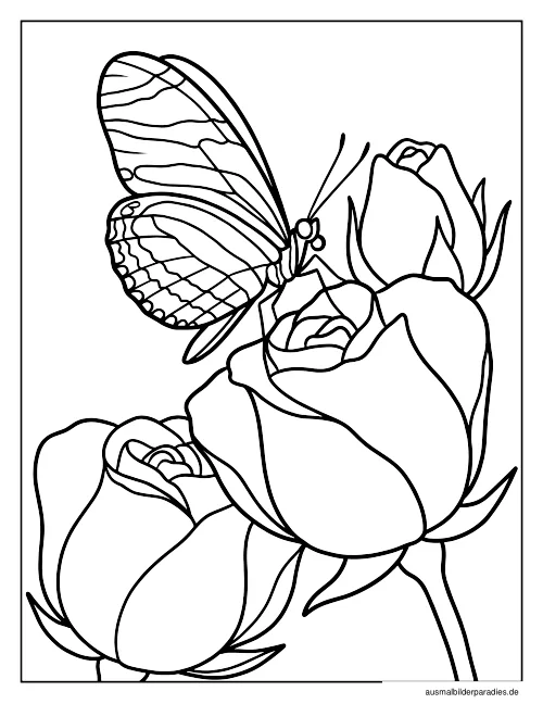 Schmetterling Ausmalbild 32 als Gratis-PDF Schmetterling Ausmalbild 32 - kostenlos zum Ausdrucken